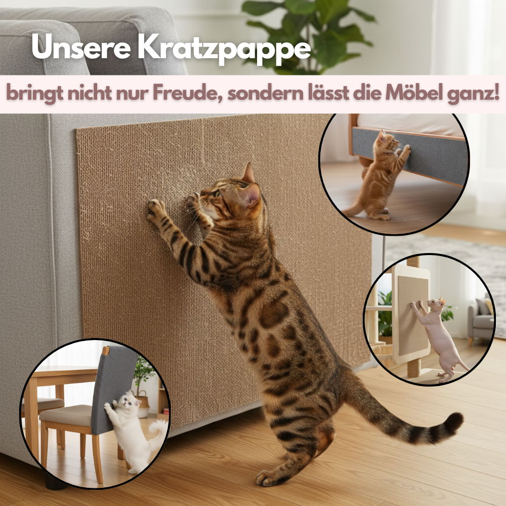 Schützende Katzen Kratzpappe